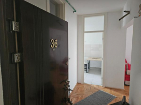 Suit 36, Belgrad